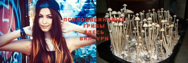 кокс Баксан
