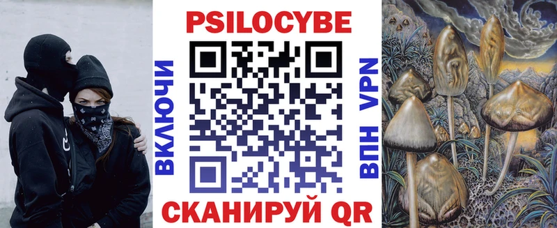 дарнет шоп  Урюпинск  Псилоцибиновые грибы Cubensis 